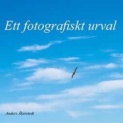 Åkerstedt, Anders - Ett fotografiskt urval, e-bok