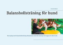 Sjöland, Amanda - Balansbollsträning för hund, e-bok