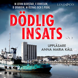 Eriksson, Erik - Dödlig insats, audiobook