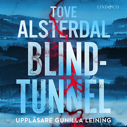 Alsterdal, Tove - Blindtunnel, äänikirja