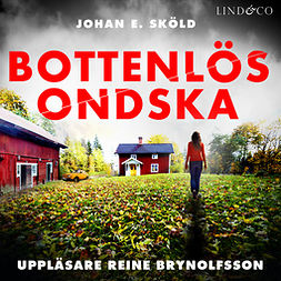 Sköld, Johan E. - Bottenlös ondska, audiobook