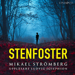 Strömberg, Mikael - Stenfoster, audiobook