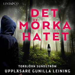 Sundström, Torbjörn - Det mörka hatet, audiobook