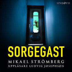 Strömberg, Mikael - Sorgegast, audiobook