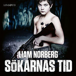 Norberg, Liam - Sökarnas tid: Örnligan, nollpunkten, vägen ut, audiobook