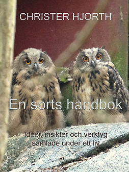 Hjorth, Christer - En sorts handbok: Idéer, insikter och verktyg samlade under ett liv, e-bok