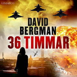 Bergman, David - 36 timmar, audiobook