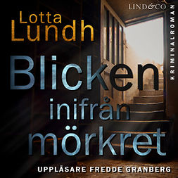 Lundh, Lotta - Blicken inifrån mörkret, audiobook