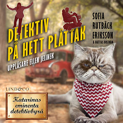 Eriksson, Sofia Rutbäck - Detektiv på hett plåttak, audiobook