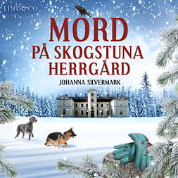 Silvermark, Johanna - Mord på Skogstuna herrgård, audiobook