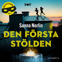 Norlin, Sanna - Den första stölden, äänikirja