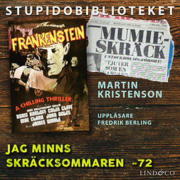 Kristenson, Martin - Jag minns skräcksommaren -72, audiobook