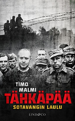 Malmi, Timo - Tähkäpää – Sotavangin laulu, ebook