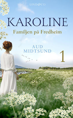 Midtsund, Aud - Familjen på Fredheim, ebook