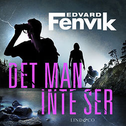 Fenvik, Edvard - Det man inte ser, audiobook