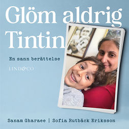 Gharaee, Sanam - Glöm aldrig Tintin: En sann berättelse, audiobook