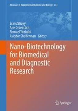 Zahavy, Eran - Nano-Biotechnology for Biomedical and Diagnostic Research, ebook