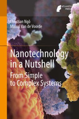 Ngô, Christian - Nanotechnology in a Nutshell, e-bok