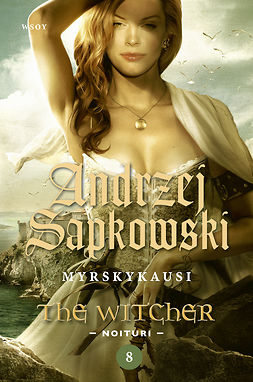 Sapkowski, Andrzej - Myrskykausi: The Witcher - Noituri 8, ebook