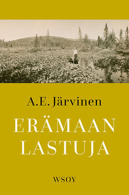 Järvinen, A. E. - Erämaan lastuja, e-bok