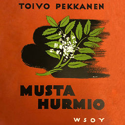 Pekkanen, Toivo - Musta hurmio, audiobook