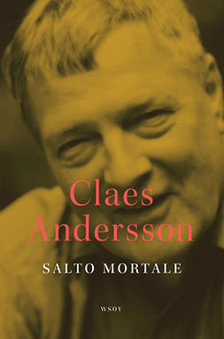 Andersson, Claes - Salto mortale, e-kirja