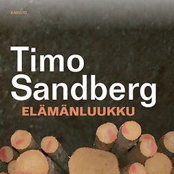 Sandberg, Timo - Elämänluukku, audiobook