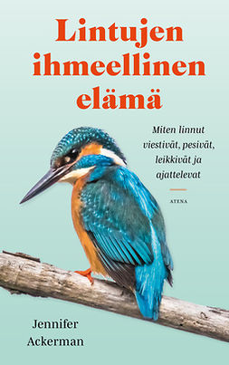 Ackerman, Jennifer - Lintujen ihmeellinen elämä: Miten linnut viestivät, pesivät, leikkivät ja ajattelevat, e-kirja