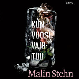 Stehn, Malin - Kun vuosi vaihtuu, audiobook