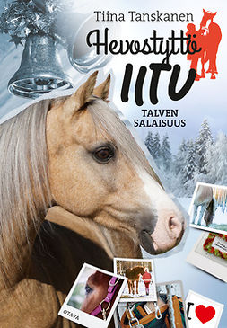Tanskanen, Tiina - Talven salaisuus, ebook