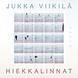 Viikilä, Jukka - Hiekkalinnat: Erittelyjä rakkausromaania varten, audiobook