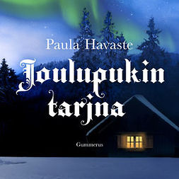 Havaste, Paula - Joulupukin tarina, audiobook