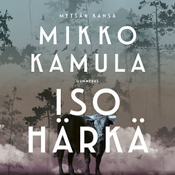 Kamula, Mikko - Iso härkä, audiobook