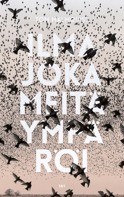 Malmquist, Tom - Ilma joka meitä ympäröi, ebook