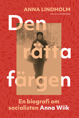 Lindholm, Anna - Den rätta färgen: En biografi om socialisten Anna Wiik, ebook