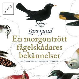 Sund, Lars - En morgontrött fågelskådares bekännelser, audiobook