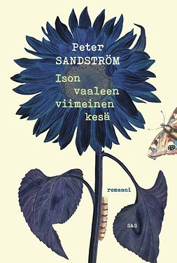 Sandström, Peter - Ison vaaleen viimeinen kesä, ebook