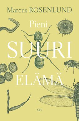 Rosenlund, Marcus - Pieni suuri elämä, ebook