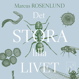 Rosenlund, Marcus - Det stora lilla livet, audiobook