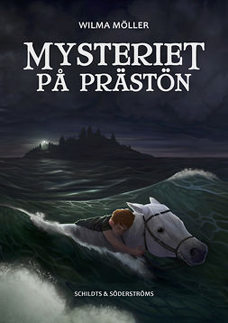 Möller, Wilma - Mysteriet på Prästön, e-bok