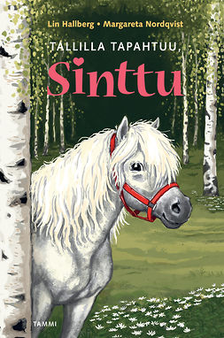 Hallberg, Lin - Tallilla tapahtuu, Sinttu, ebook