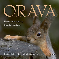 Laaksonen, Juha - Orava: Metsien tuttu tuntematon, audiobook