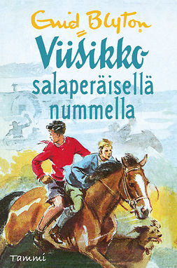 Blyton, Enid - Viisikko salaperäisellä nummella, e-bok