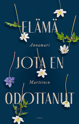 Marttinen, Annamari - Elämä jota en odottanut, e-bok