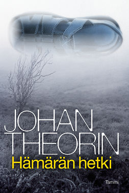 Theorin, Johan - Hämärän hetki, e-bok