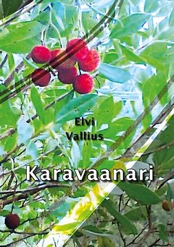Vallius, Elvi - Karavaanari, ebook