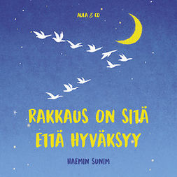 Sunim, Haemin - Rakkaus on sitä että hyväksyy, audiobook