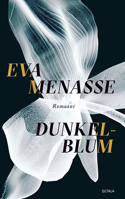 Menasse, Eva - Dunkelblum: Romaani, e-bok