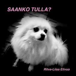 Elivuo, Ritva-Liisa - Saanko tulla?, äänikirja