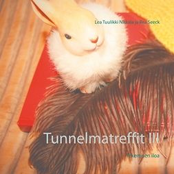 Niskala, Lea Tuulikki - Tunnelmatreffit III: Tekemisen iloa, e-bok